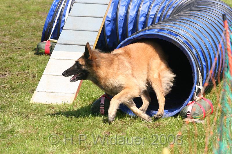 jubil.lusten. 293.jpg